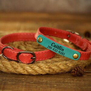 Puede incluir: Un collar de gato de cuero rojo con una campana y una etiqueta de cuero turquesa con el nombre "Caitlin" y un n&uacute;mero de tel&eacute;fono grabado.