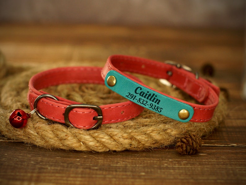 Puede incluir: Un collar de gato de cuero rojo con una campana y una etiqueta de cuero turquesa con el nombre "Caitlin" y un n&uacute;mero de tel&eacute;fono grabado.