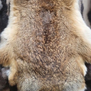 Könnte beinhalten: Nahaufnahme eines gegerbten Tierfells mit einer Mischung aus braunem, beigem und cremefarbenem Fell. Das Fell hat eine weiche, dichte Textur mit Farb- und Musterabweichungen. Das Fell scheint in gutem Zustand zu sein.