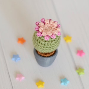 Cactus amigurumi Desk plant Shelf decor Cute office toy Crochet succulent Mini cactus pot