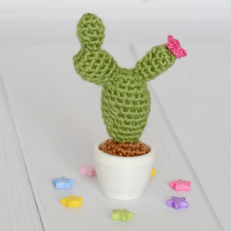 Crochet Cactus Mini Pot Knit Plant Dollhouse Amigurumi - Etsy