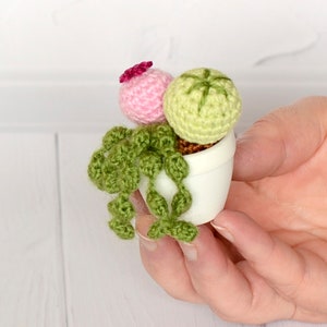 Amigurumi cactus Crochet succulent Mini knit plant Desk decor Cute office toy
