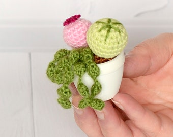 Crochet Cactus Succulent - Handmade Knit Desk Plant