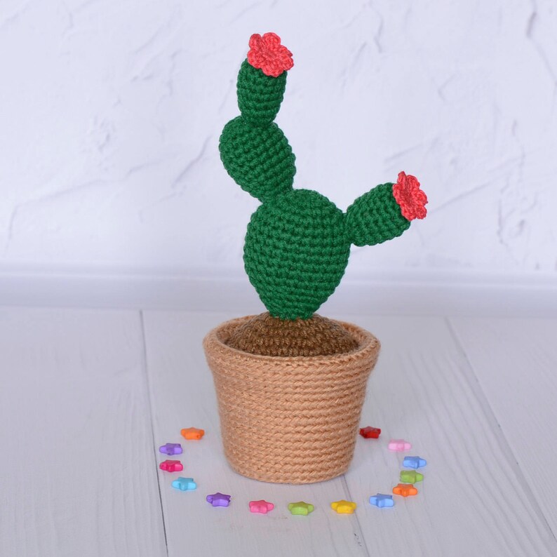 Crochet Cactus Knit Plant Amigurumi Succulent Artificial Cacti - Etsy
