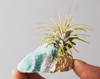 Unique Birthday Gift, Air Planter, Girlfriend Gift, Best Friend Birthday, Boho Decor, Desk Accessories, Amazonite Air Plant Crystal, Mint