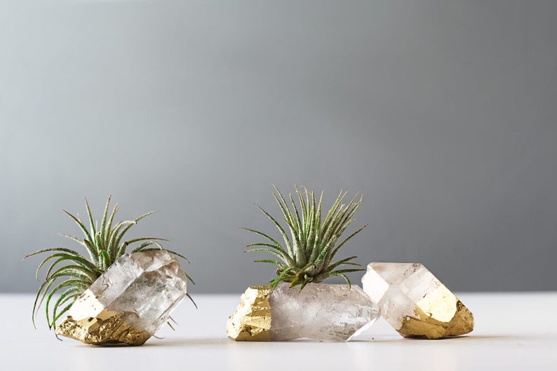 Air Plant Gold Dipped Quartz Crystal Desk Accessories Best