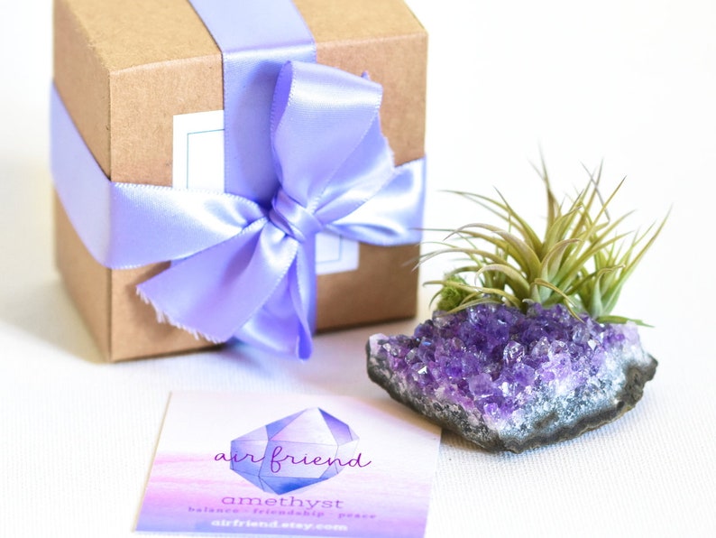 Amethyst Crystal Air Plant Gift Desk Accessories Amethyst Crystal Air Plant Gift Desk Accessories Image 0