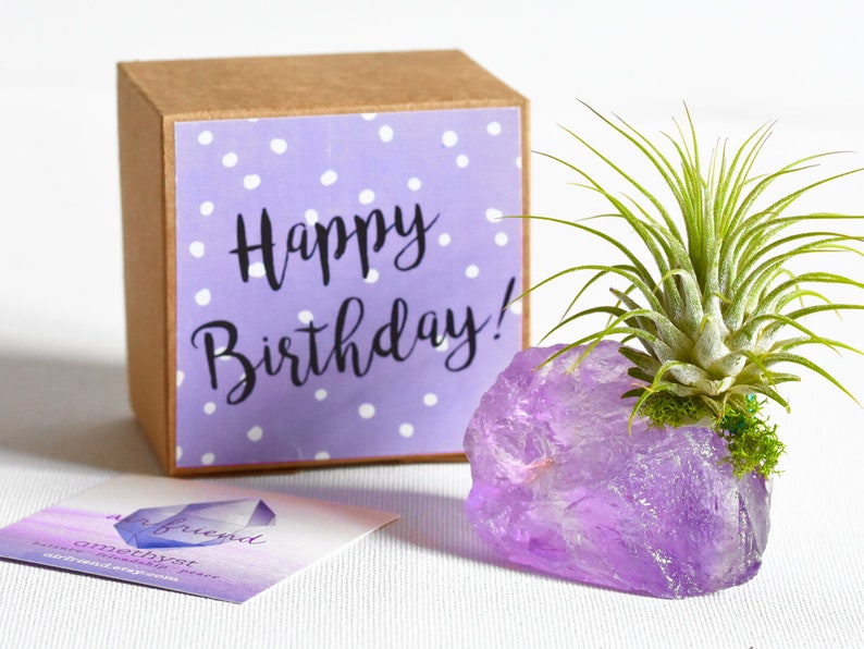 Amethyst Crystal Happy Birthday Gift February Birthstone Etsy