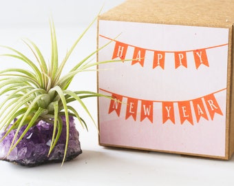 Happy New Year Gift, Office Gift, Coworker Gift, Best Friend Gift, Holiday Gift, Belated Christmas Gift Amethyst Crystal Air Plant Terrarium