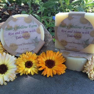 Rise and Shine with Calendula