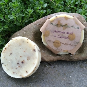 May include: Two round, off-white soaps with visible flecks of herbs. One soap has a brown paper label that reads "Daisy Hollow Farm Almond Milk & Lavender All-Natural Handmade Soap 3.0-3.5 oz". The soaps are on a gray stone, with green foliage in the background.