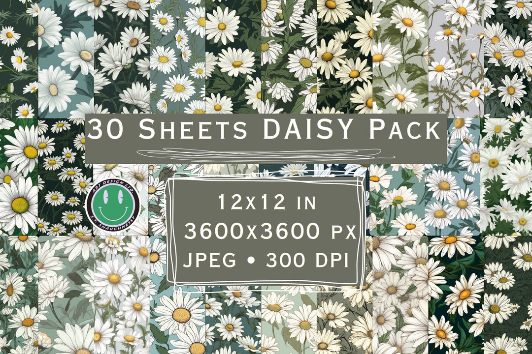 White Daisy Illustrations, Digital Paper Collection - 12x12, 300 DPI ...