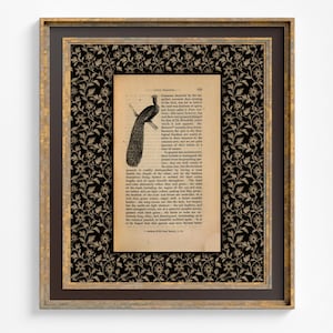 May include: Framed vintage print featuring a peacock illustration on aged paper. The artwork is set against a black floral patterned background and framed in gold and brown tones. The print includes text.