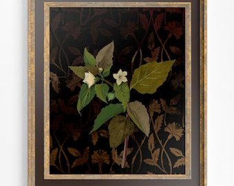 Vintage Flower with Pattern Print, Vintage Art Nouveau Poster