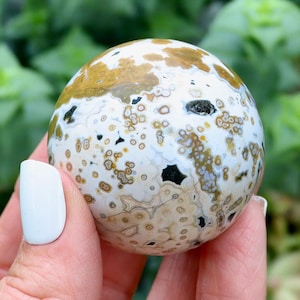 Ocean Jasper Spheres
