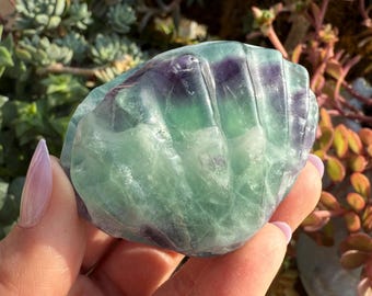 Green and Purple Fluorite Clam Carving