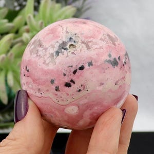 May include: A pink and white sphere with black speckles is held in a hand with a purple painted fingernail. The sphere has a marbled appearance. Green plants are visible in the background.