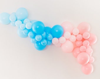 Balloon Garland Kit, Balloon Arch Kit, Gender Reveal, Gender Reveal Backdrop, Gender Reveal Ideas, Gender Reveal Party, Twins Baby Shower