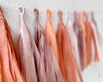 Tassel Garland, Bachelorette Banner, Bachelorette Party Decorations, Palm Springs Bachelorette, Camp Bachelorette, Bohemian Party Decor