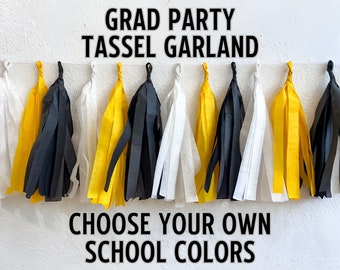 Tassel Garland, Grad Party Decor, Class of 2024, High School, College, Photo Backdrop, Custom Colors