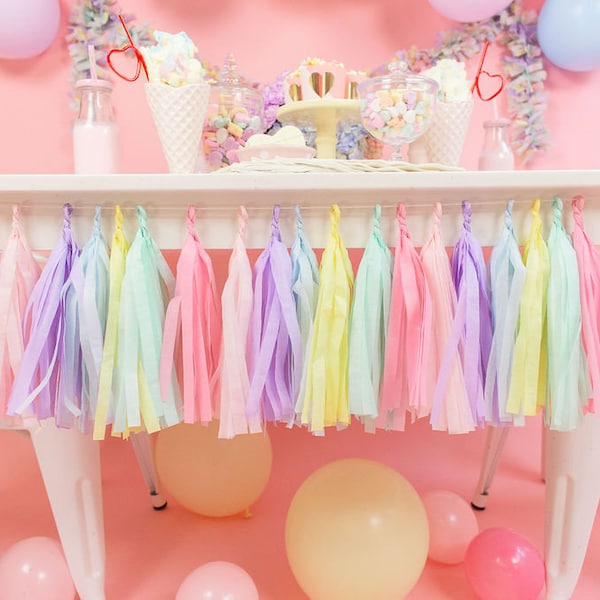 Pastel Tassel Garland, Pastel Party Decor, Pastel Baby Shower Decorations, Princess Party Decor, Tissue Tassel Garland, Tassel Banner