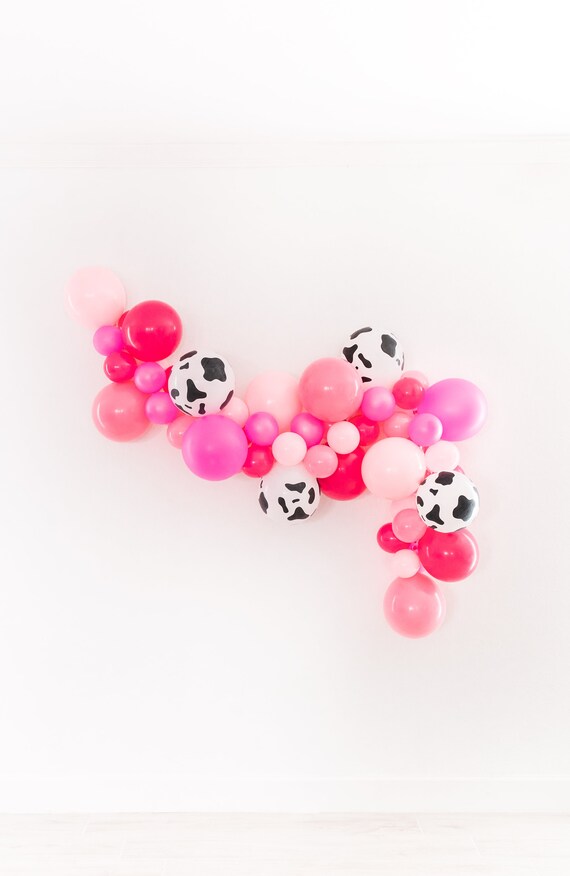 Balloon Garland Kit Balloon Arch Kit Nash Bash Party Decor Etsy 日本