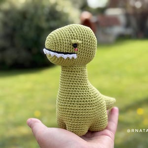 Crochet Baby Dinosaurus: T-Rex, Triceratops, Brontosaurus, Stegosaurus Pattern (PDF) image 11