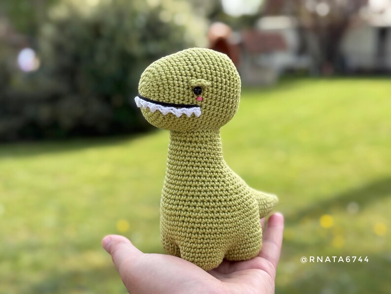 Crochet Baby Dinosaurus: T-Rex, Triceratops, Brontosaurus, Stegosaurus Pattern (PDF) image 11