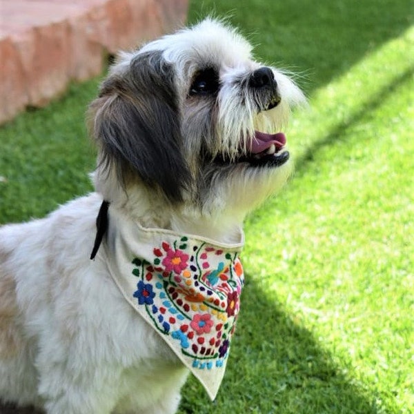 Mexican dog bandana, Mexican dog poncho, Mexican dog collar