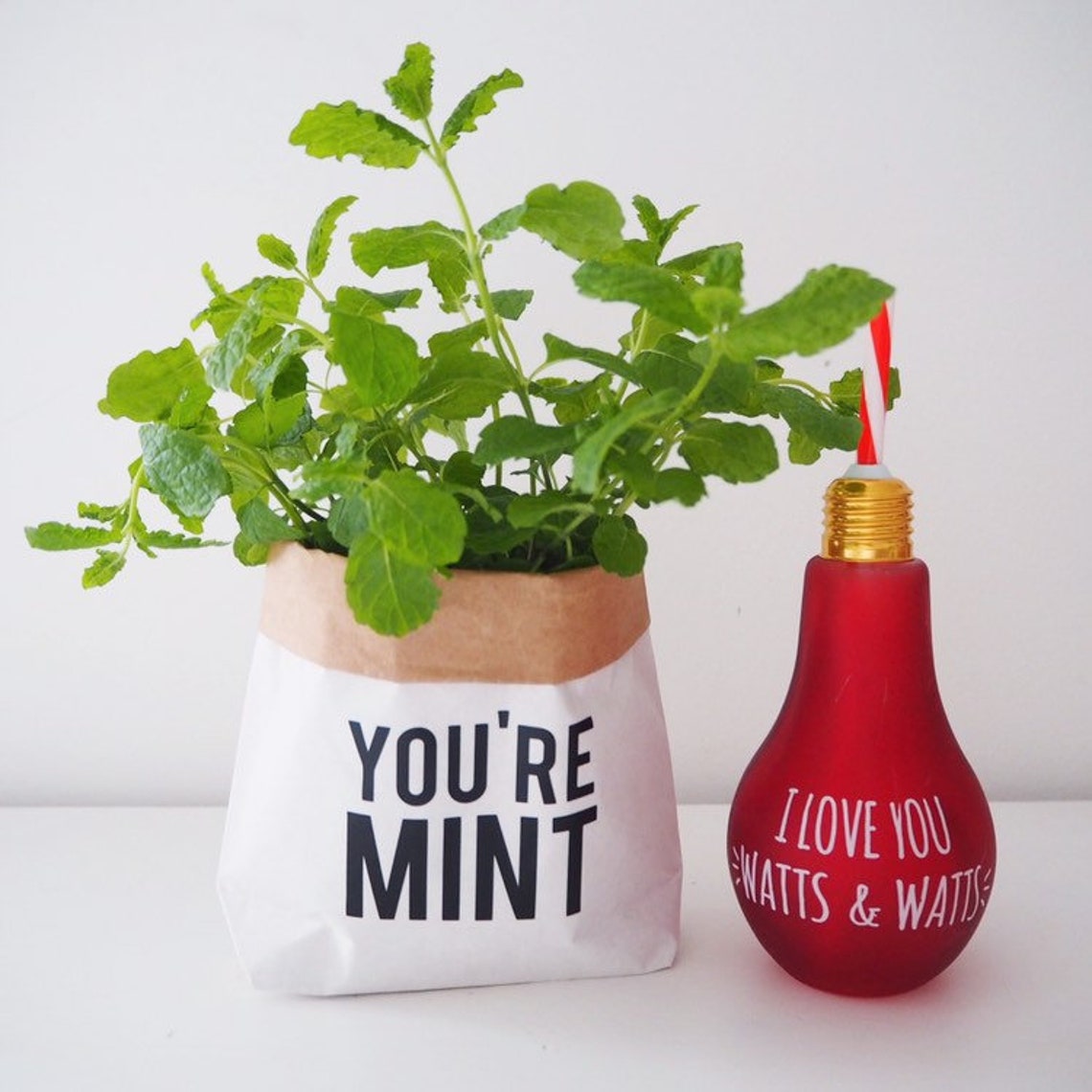 Youre menthe pot de plante sac en papier support de pot | Etsy