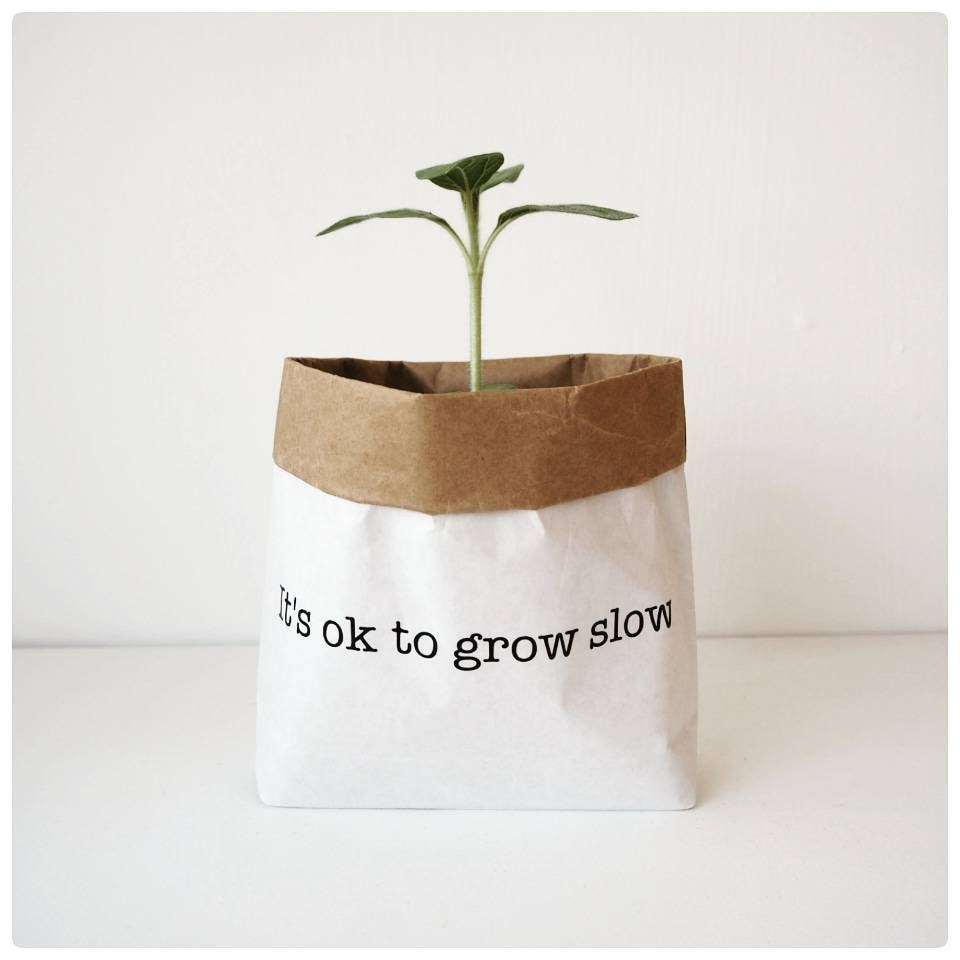 Om toestemming te geven Laatste atmosfeer Het is OK om te groeien langzaam papieren zak plant pot | Etsy