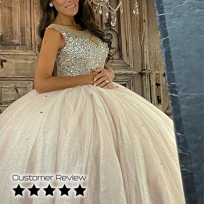 May include: A pink tulle ball gown with a sparkling silver bodice and a sheer neckline. The dress is adorned with small silver embellishments.