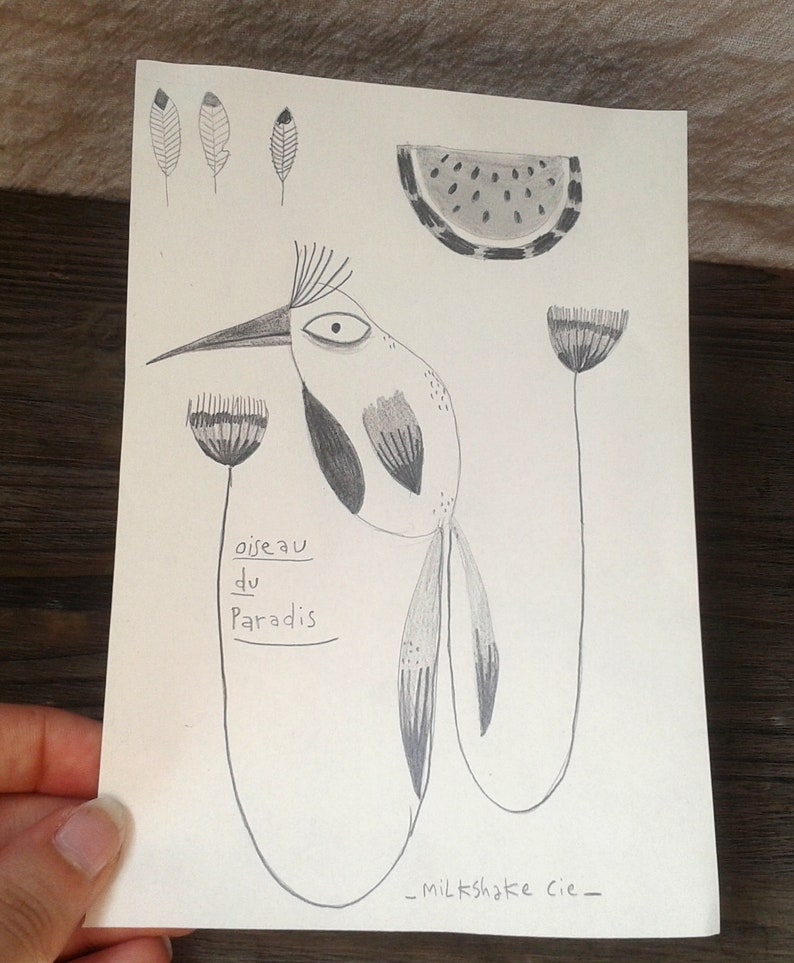 Oiseau Du Paradis Dessin Original Oiseau Croquis à Encadrer Exotique Tropical Plume Pastèque Déco Collection Animal Portrait Illustration