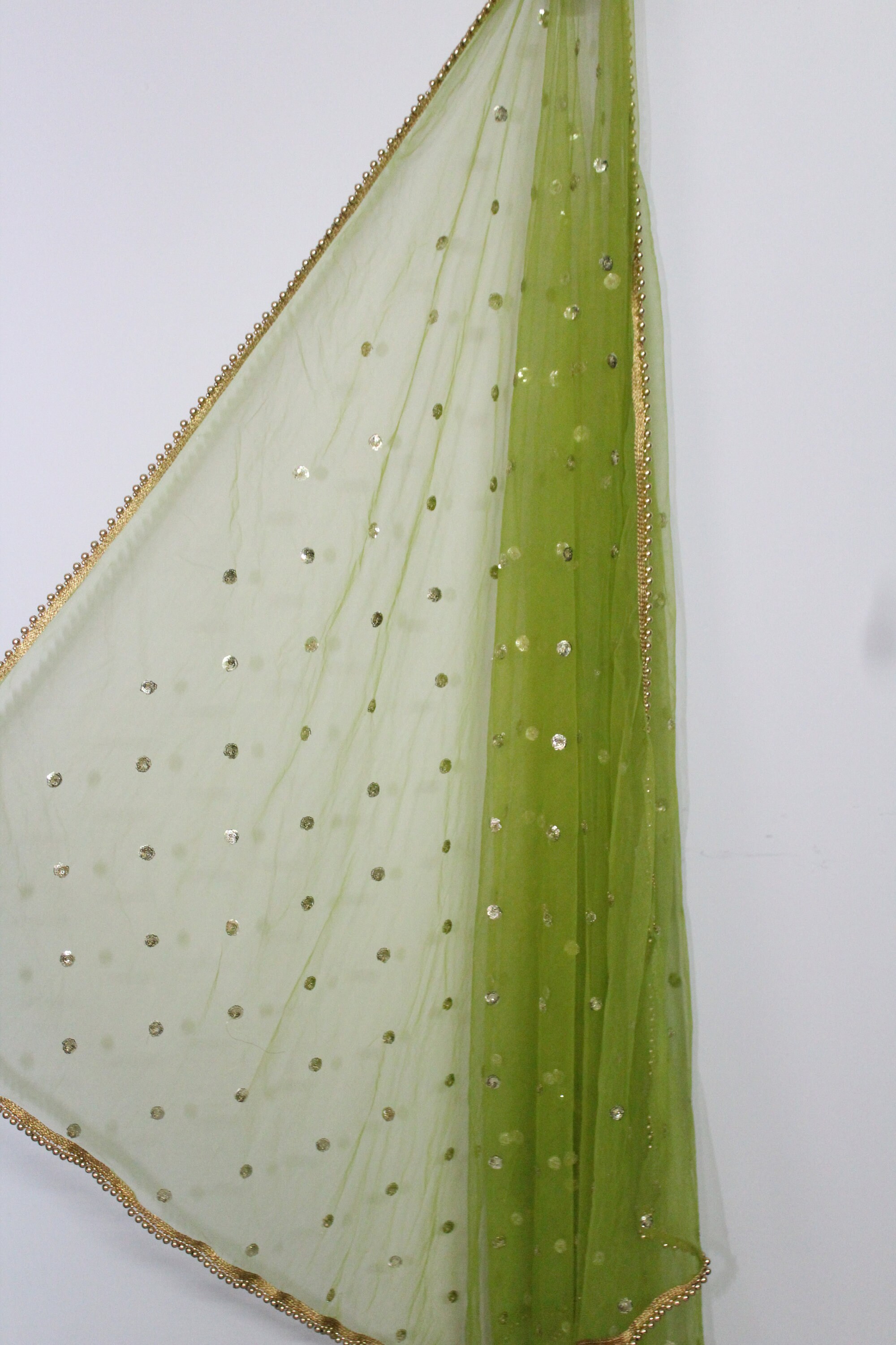 Green Net Dupatta With Golden Sequins Motifs Gold Border Net Etsy