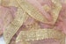 Baby Pink Net Dupatta with Golden Sequin Motifs | Gold Border Net Dupatta | Beaded border dupatta | Indian dupatta | Bridal chunni | Dupatta 