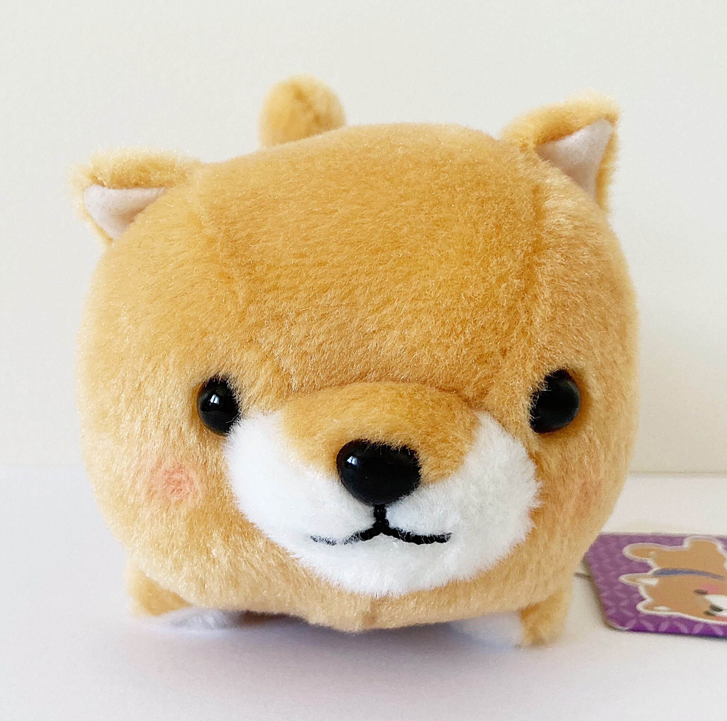 Amuse Mameshiba San Kyodai Puppy Dogs Cute Kawaii Kitsch Plush in
