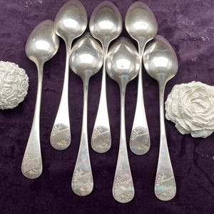 Peut inclure: Ensemble de sept cuillères en argent avec des motifs floraux sur les manches, disposées sur une surface violet foncé. Deux ornements floraux blancs sont placés de chaque côté des cuillères. Les cuillères sont probablement pour servir.