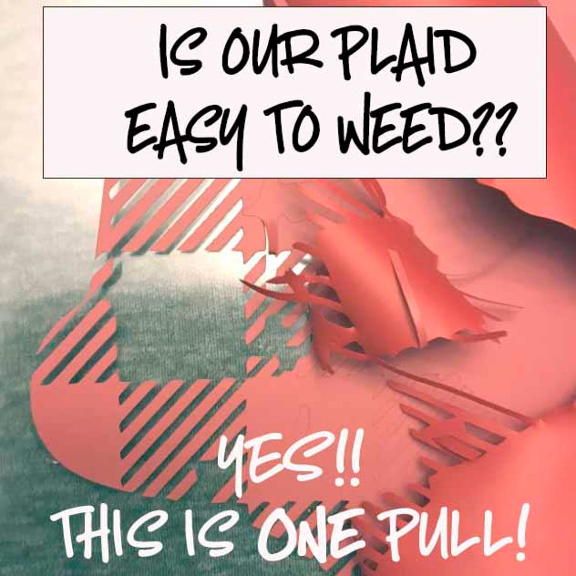 Merry Christmas Svg Jesus Svg Christmas Svg Christ Svg - Etsy