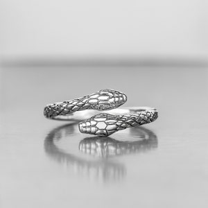 Könnte beinhalten: Ein silberner Schlangenring mit zwei Schlangenköpfen, die sich gegenüberstehen. Der Ring ist aus glattem, glänzendem Metall gefertigt und hat ein detailliertes Schlangenschuppenmuster.