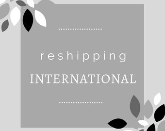 International Reshipping Cost