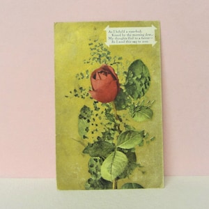 Carte postale de la Saint-Valentin des années 1910, rose rouge, timbre-poste de 1909, carte de voeux de la Saint-Valentin vintage utilisée