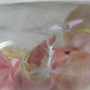 Puede incluir: Una mu&ntilde;eca rosa y blanca con cabello rubio que lleva un vestido rosa y blanco con ribete de encaje. La mu&ntilde;eca est&aacute; en una bolsa de pl&aacute;stico transparente.