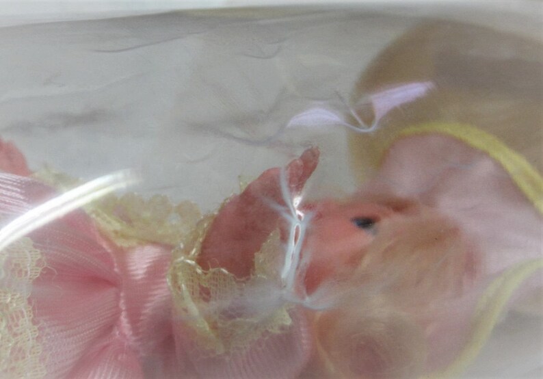 Puede incluir: Una mu&ntilde;eca rosa y blanca con cabello rubio que lleva un vestido rosa y blanco con ribete de encaje. La mu&ntilde;eca est&aacute; en una bolsa de pl&aacute;stico transparente.