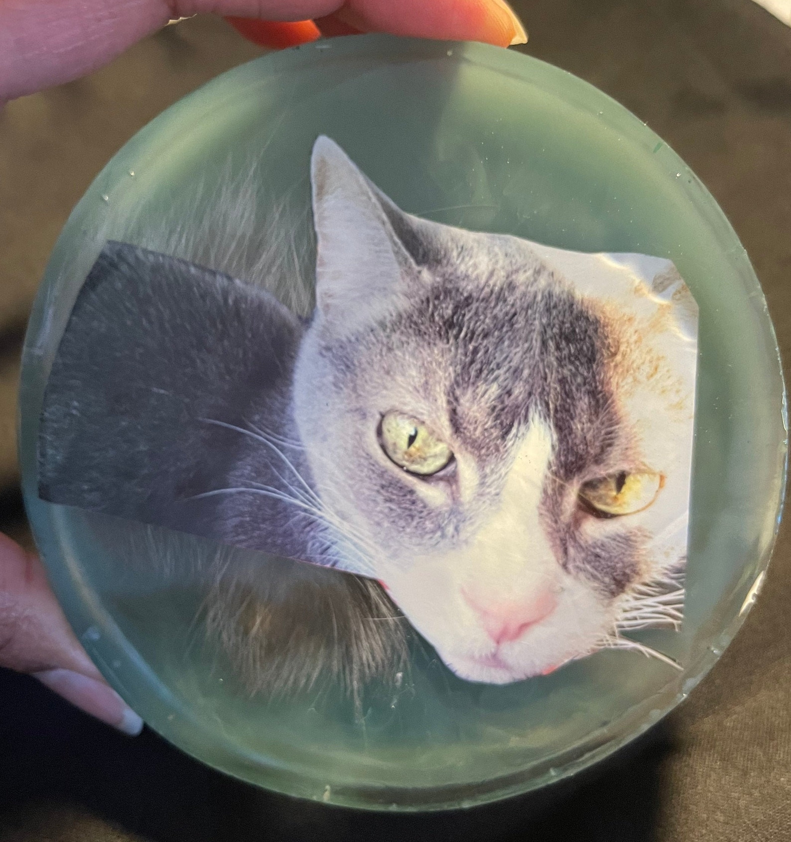Pet Memorial Resin Customizable Etsy