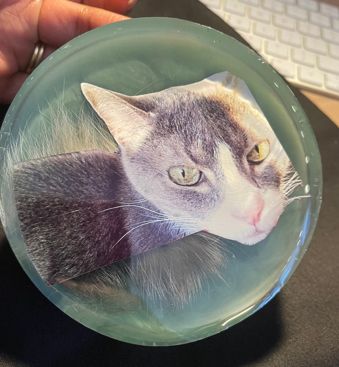 Pet Memorial Resin Customizable Etsy