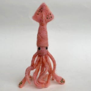 May include: A handmade, pink felt squid figurine with black eyes and multiple tentacles. The squid's head is triangular with small, dark green embellishments. The tentacles are curled and detailed, giving the squid a whimsical appearance.