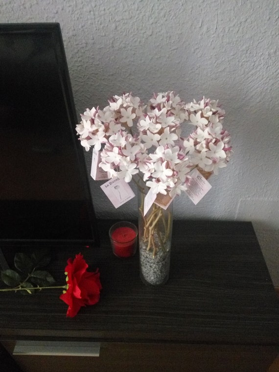 Medium Biznaga Home Decoration Original Gift Decoration Etsy