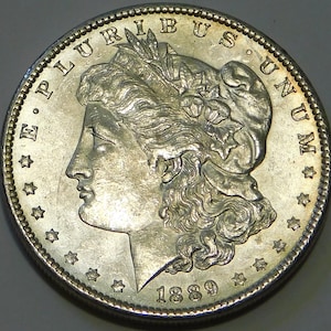 1889 Morgan Silver Dollar - Nicely aged Coin with light toning - #12-193