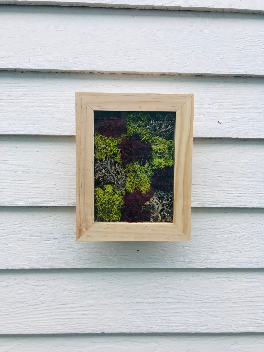 Moss Wall Art Shadow Box Hanger Wall Hanger Moss Hanger Etsy