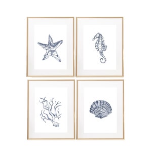 Wall Decor, marine blauwe nautische inkt tekeningen, Seashell Starfish Coral seahorse Art Print 5 x 7